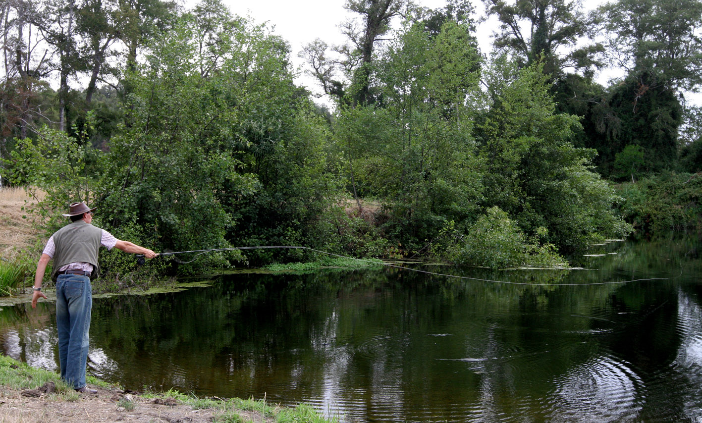 Segunda parte de Estudio para Pesca Recreativa ya fue adjudicado