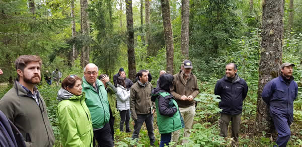 Lanzan proyecto de manejo de bosque nativo que busca darle nuevos usos de comercialización a la madera