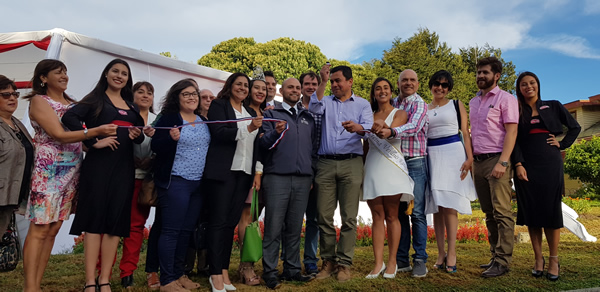 Ya comenzó la fiesta del diseño y la creatividad en Lago Ranco