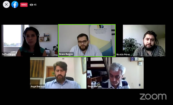 Realizaron seminario online para acercar la geotermia a la región de Los Ríos