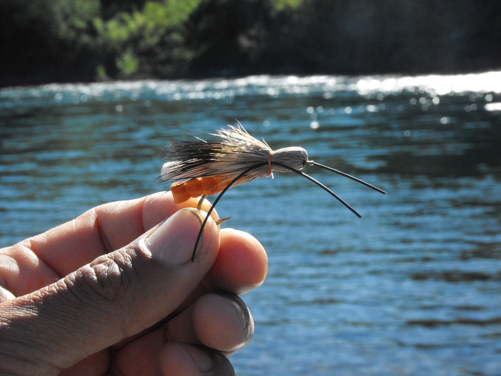 Corporación de Desarrollo destina $200 millones para la implementación de la pesca recreativa en Los Ríos
