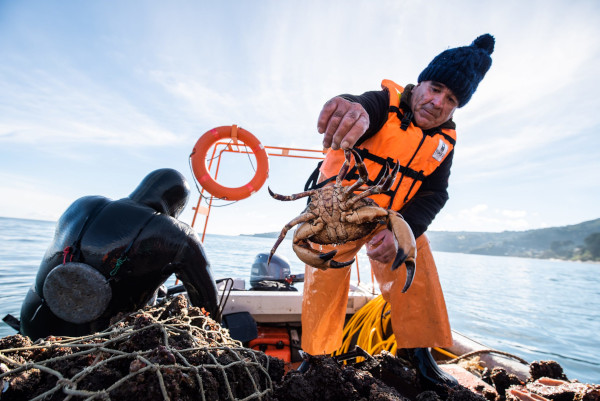 FIPASUR: Un Socio Estratégico para el Desarrollo de la Pesca Artesanal