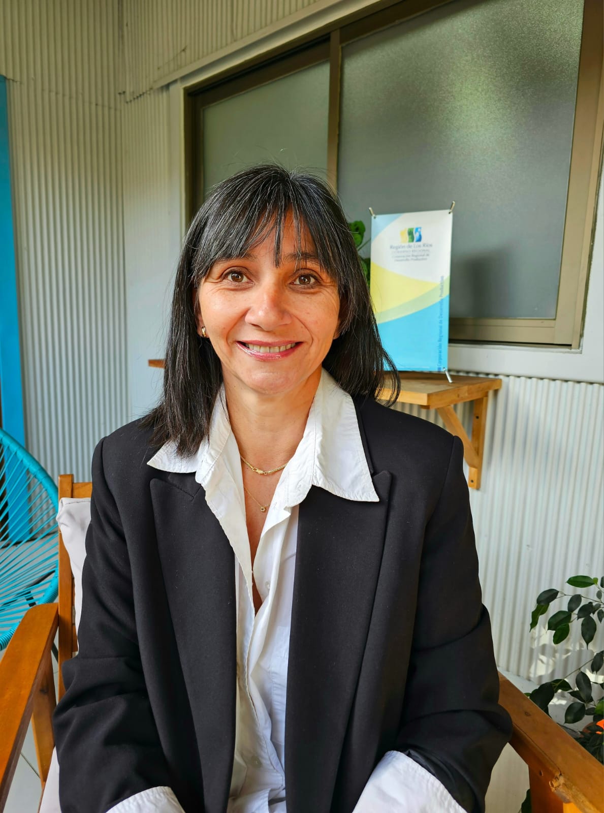 Opinión Alejandra Pugin en Diario Austral: Madera y Desarrollo