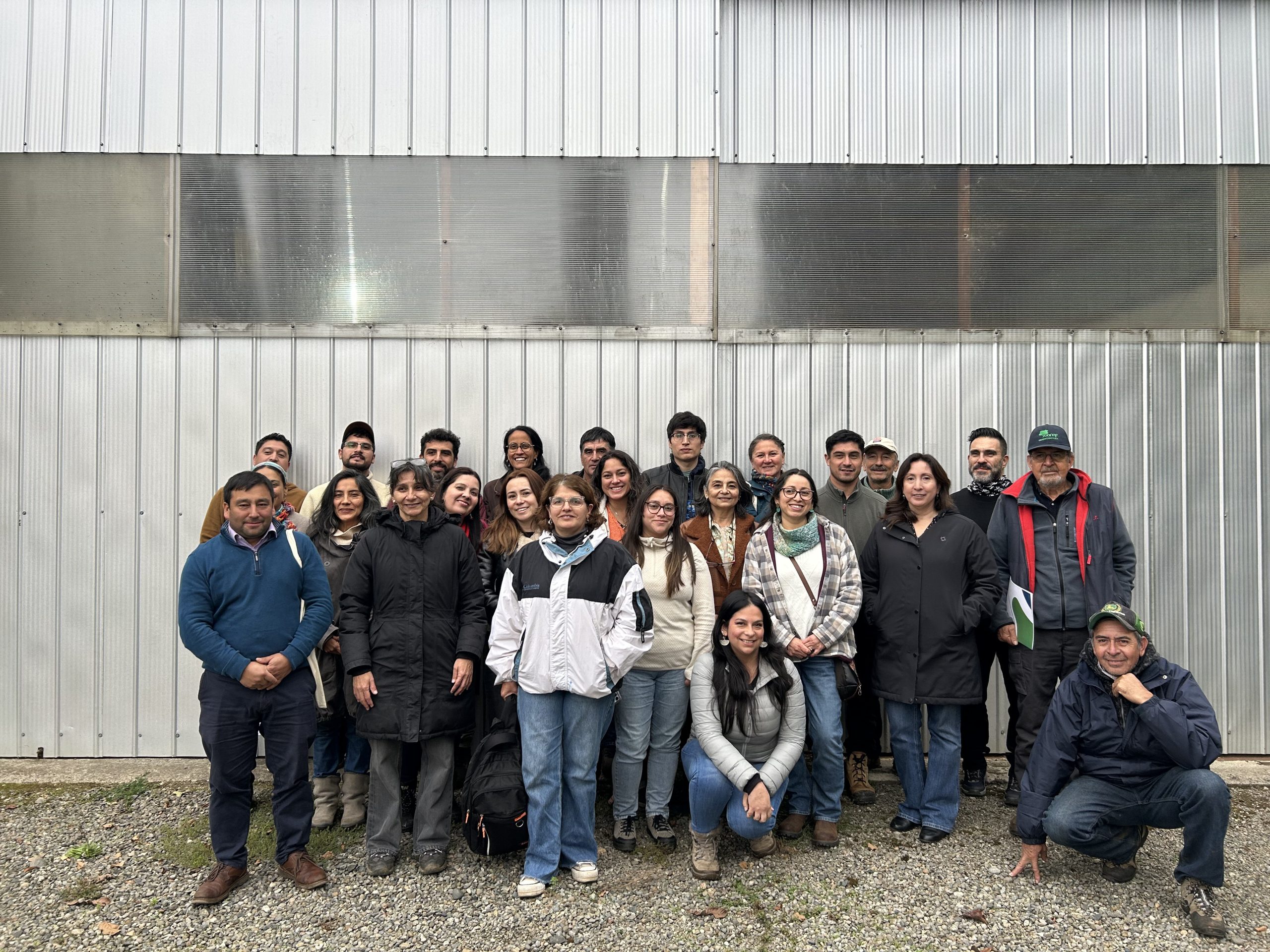 El bosque se conecta: Bosque Innova revoluciona el emprendimiento maderero en Los Ríos