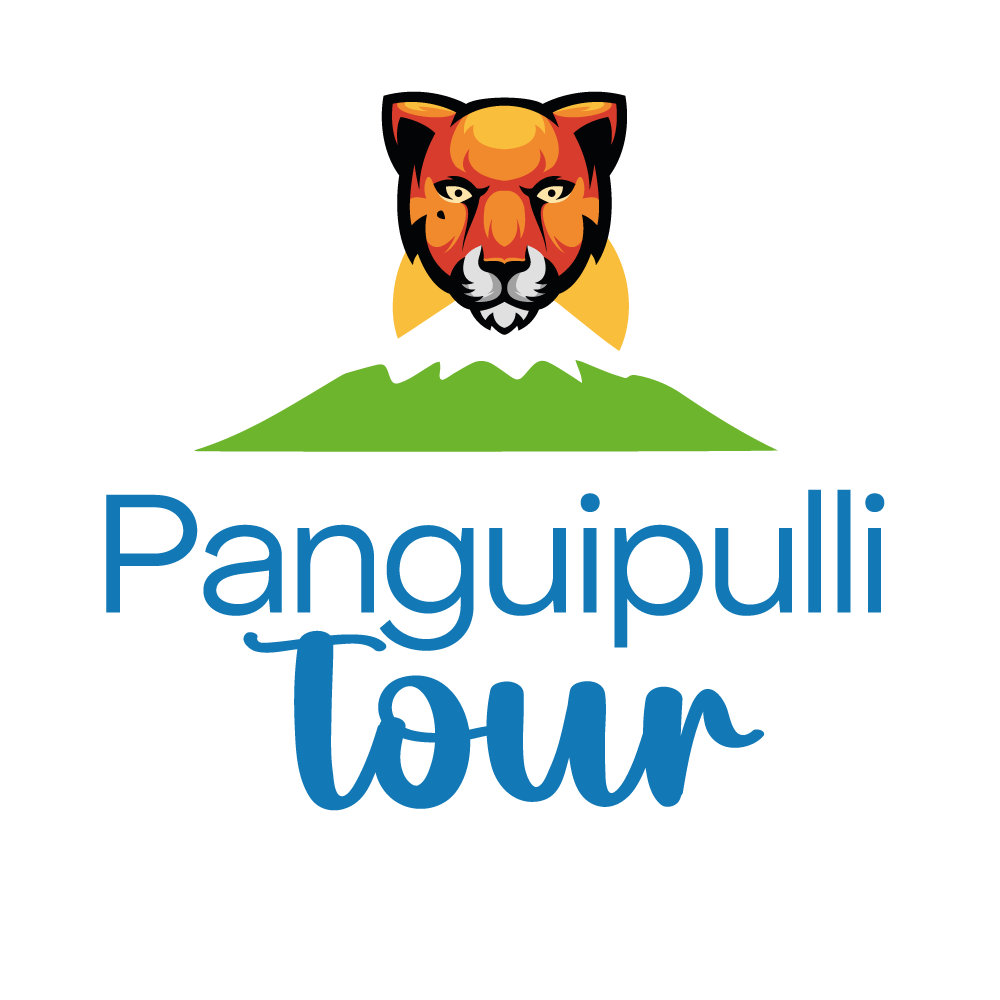Panguipulli Tour