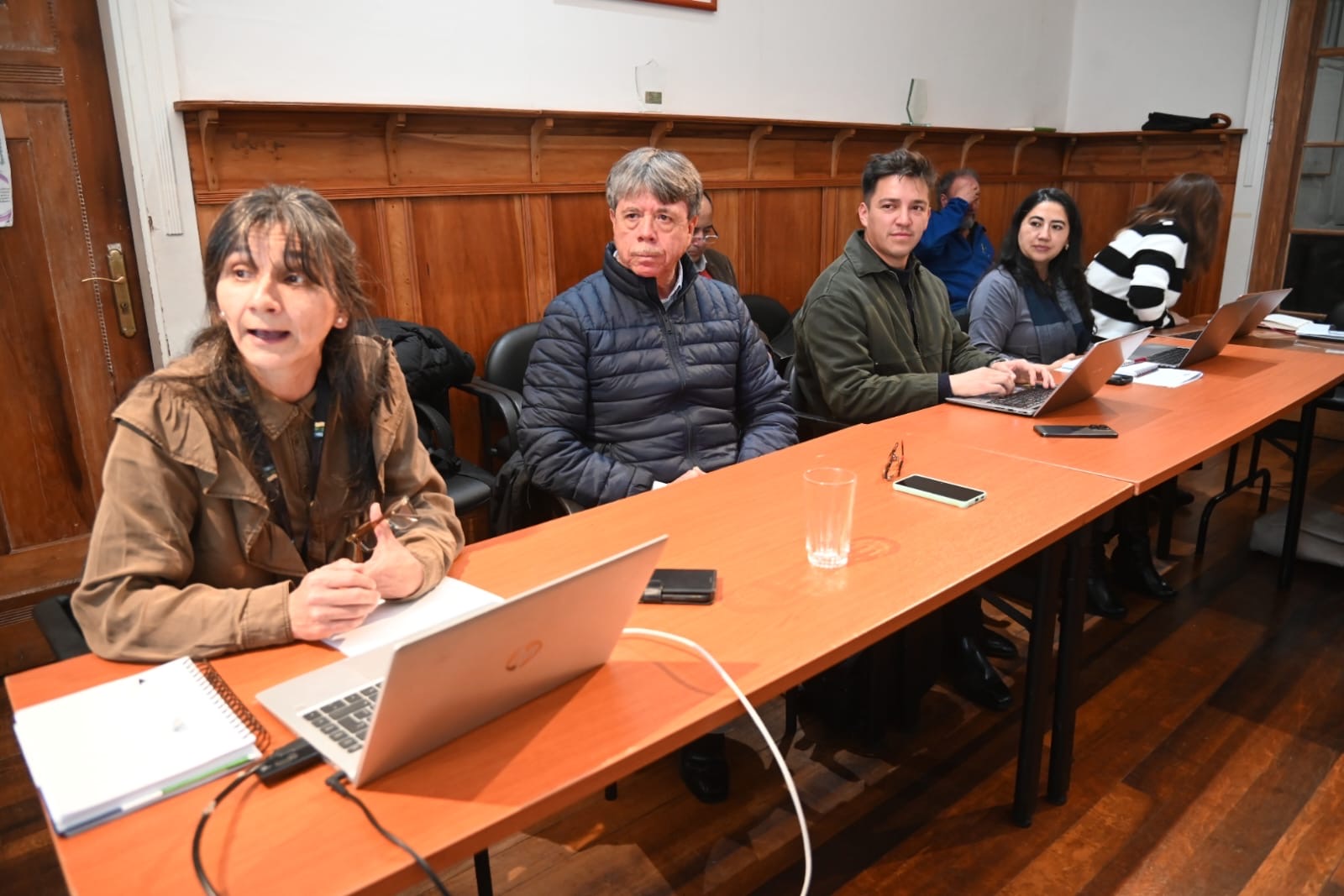 Presentamos los avances de la Mesa Impulso Madera ante el Consejo Regional