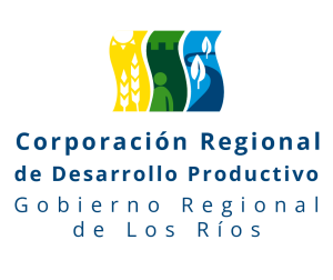 Corporaci&oacute;n Regional de Desarrollo Productivo
