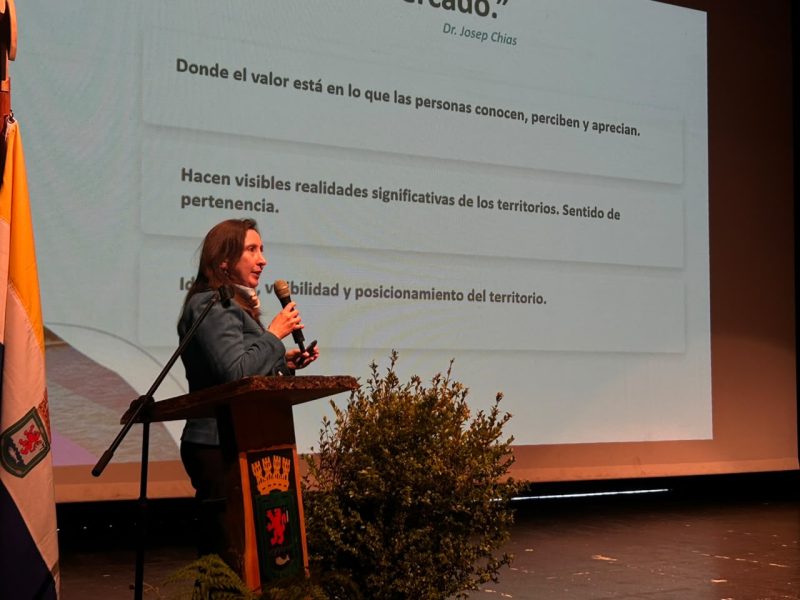 Presentamos la Marca Regi&oacute;n en Seminario de Turismo e Innovaci&oacute;n en Panguipulli